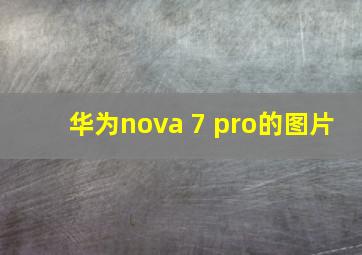 华为nova 7 pro的图片